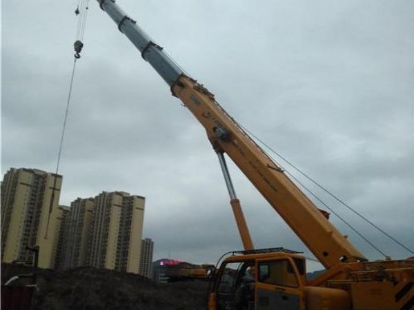 瑞安市吊车出租_8到500吨吊车出租